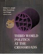 THIRD WORLD POLITICS AT THE CROSSROADS   1996  PDF电子版封面  0669332011   