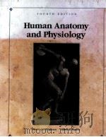 HUMAN ANATOMY AND PHYSIOLOGY FOURTH EDITION   1992  PDF电子版封面  0314876936   