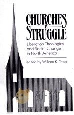 CHURCHES IN STRUGGLE   1986  PDF电子版封面  0853456933   