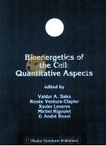 BIOENERGETICS OF THE CELL:QUANTITATIVE ASPECTS   1998  PDF电子版封面  0792381181  VALDUR A.SAKS 
