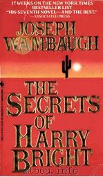 THE SECRETS OF HARRY BRIGHT   1985  PDF电子版封面  0553260219   