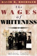 THE WAGES OF WHITENESS   1991  PDF电子版封面  0860915506   