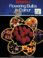 FLOWERING BULBS IN COLOUR   1973  PDF电子版封面  060031295X   
