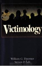 VICTIMOLOGY   1995  PDF电子版封面  0870842005   