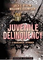 JUVENILE DELINQUENCY:A SOCIOLOGICAL APPROACH FOURTH EDITION   1999  PDF电子版封面  0205276121   