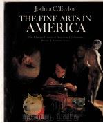 THE FINE ARTS IN AMERICA   1979  PDF电子版封面  0226791513  JOSHUA C.TAYLOR 