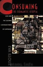CONSUMING THE ROMANTIC UTOPIA:LOVE AND THE CULTURAL CONTRADICTIONS OF CAPITALISM   1997  PDF电子版封面  0520205715  EVA ILLOUZ 