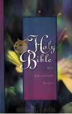 THE HOLY BIBLE   1984  PDF电子版封面     