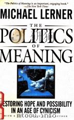 POLITICS OF MEANING:RESTORING HOPE AND POSSIBILITY IN AN AGE OF CYNICISM   1996  PDF电子版封面  0201154897  MICHAEL LERNER 
