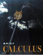 BRIEF CALCULUS AND ITS APPLICATIONS   1993  PDF电子版封面  0395615496   