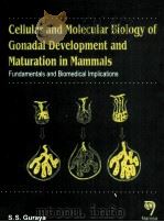 CELLULAR AND MOLECULAR BIOLOGY OF GONADAL DEVELOPMENT AND MATURATION IN MAMMALS FUNDAMENTALS AND BIO   1998  PDF电子版封面  8173191344  S.S.GURAYA 