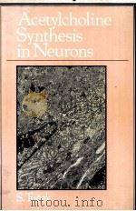 ACETYLCHOLINE SYNTHESIS IN NEURONS   1978  PDF电子版封面  0470263040  S.TUCEK 