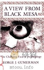 A VIEW FROM BLACK MESA:THE CHANGING FACE OF ARCHAEOLOGY   1984  PDF电子版封面  0816513406  GEORGE J.GUMERMAN 