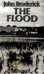 THE FLOOD A NOVEL   1987  PDF电子版封面  0714528676   