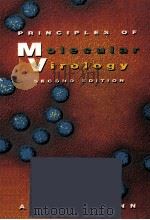 PRINCIPLES OF MOLECULAR VIROLOGY 2ND EDITION   1997  PDF电子版封面  0121585328  ALAN J.CANN 