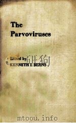 THE PARVOVIRUSES   1984  PDF电子版封面  0306414120   