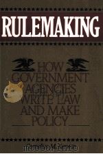 RULEMAKING:HOW GOVERNMENT AGENCIES WRITE LAW AND MAKE POLICY（1994 PDF版）