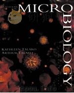 FOUNDATIONS IN MICROBIOLOGY SECOND EDITION（1996 PDF版）
