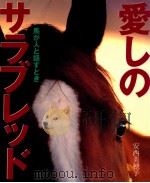 愛しのサラブレッド   1995.04  PDF电子版封面    安西美穂子 
