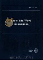 SHOCK AND WAVE PROPAGATION   1988  PDF电子版封面     