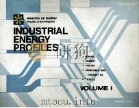 INDUSTRIAL ENERGY PROFILES VOLUME I（ PDF版）