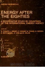 ENERGY RESEARCH 6 ENERGY AFTER THE EIGHTIES A COOPERATIVE STUDY BY COUNTRIES OF THE INTERNATIONAL EN   1984  PDF电子版封面  0444424040   