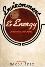 ENVIRONMENT AND ENERGY   1979  PDF电子版封面  0080244688   