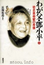 若き革命家の肖像   1994.02  PDF电子版封面    毛毛 