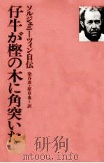 仔牛が樫の木に角突いた   1976.03  PDF电子版封面     