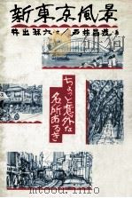 新東京風景   1985.10  PDF电子版封面    井出孫六文 