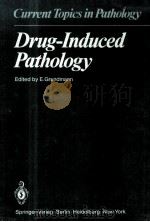 DRUG-INDUCED PATHOLOGY   1980  PDF电子版封面  0387104151  E.GRUNDMANN 