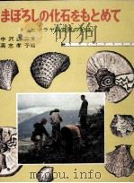 まぼろしの化石をもとめて   1972.07  PDF电子版封面    中沢圭二 
