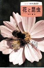 花と昆虫   1974.05  PDF电子版封面    田中肇 