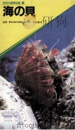 海の貝（1985.03 PDF版）