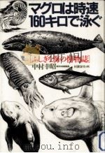 日本の動物   1976.07  PDF电子版封面    増井光子 