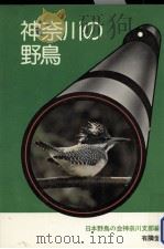 神奈川の野鳥   1980.05  PDF电子版封面     