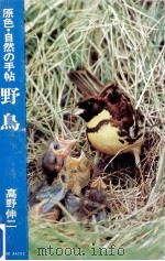 野鳥   1967.04  PDF电子版封面    高野伸二 
