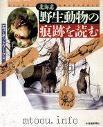 北海道野生動物の痕跡を読む   1994.11  PDF电子版封面    エコ·ネットワーク 