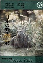 日本の野生動物   1963.07  PDF电子版封面    岡田弥一郎 