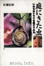 庭にきた虫   1997.09  PDF电子版封面    佐藤信治 