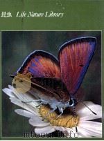 昆虫   1979  PDF电子版封面    Farb 