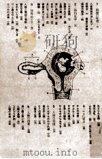ヒトの解剖   1969.03  PDF电子版封面    井尻正二 