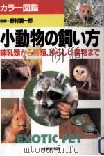 小動物の飼い方   1994.07  PDF电子版封面    野村潤一郎 