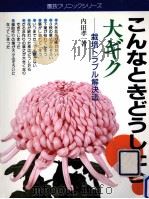 大ギク   1987.10  PDF电子版封面    内田孝一 