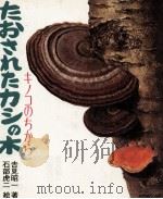 たおされたカシの木   1976  PDF电子版封面    吉見昭一 