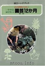 園芸12か月   1990.12  PDF电子版封面    桜井廉 