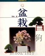盆栽   1998.12  PDF电子版封面    竹山浩 