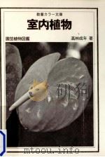 室内植物   1978.11  PDF电子版封面    高林成年 
