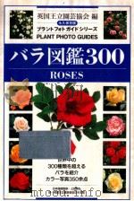 バラ図鑑300（1996.11 PDF版）