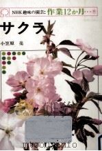 サクラ   1978.03  PDF电子版封面    小笠原亮 